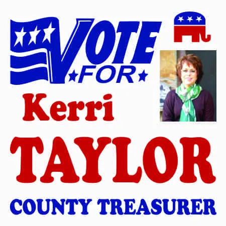 Vote for County Treasurer Election Signs 
