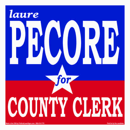 Election Sign for County Clerk
