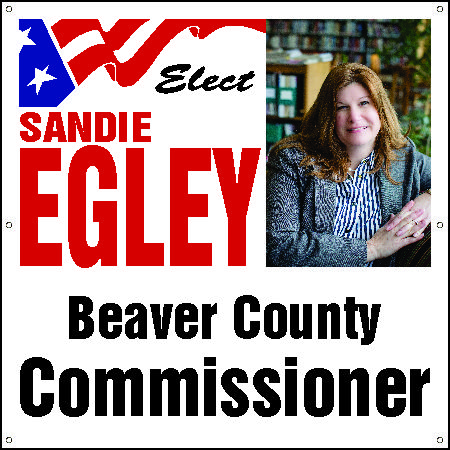 Campaign Signs for Commissioner
